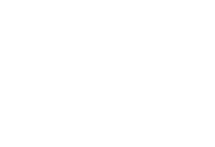 Big Green Egg